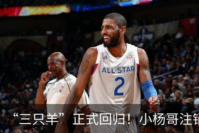 “三只羊”正式回归！小杨哥注销过亿粉丝d音账号，再注册新号发声明。
