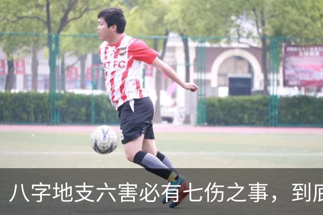 八字地支六害必有七伤之事，到底是哪七伤呢？