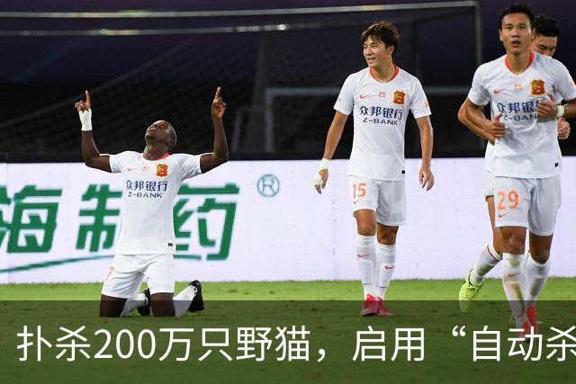 扑杀200万只野猫，启用“自动杀猫机”，对家猫“宵禁”……澳大利亚为什么不肯放过野生“哈基米”？