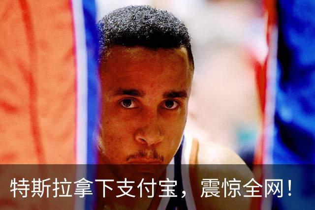 特斯拉拿下支付宝，震惊全网！