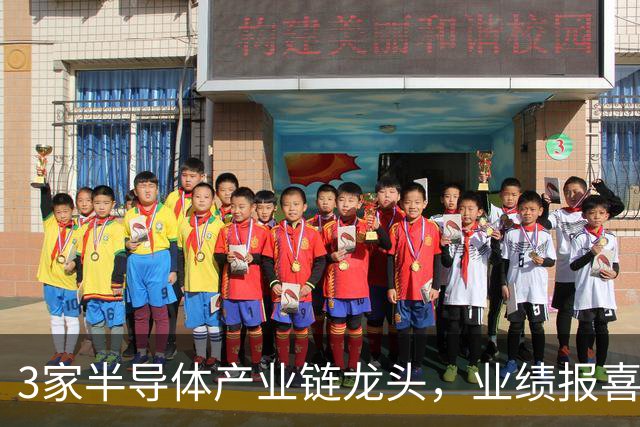 3家半导体产业链龙头，业绩报喜！